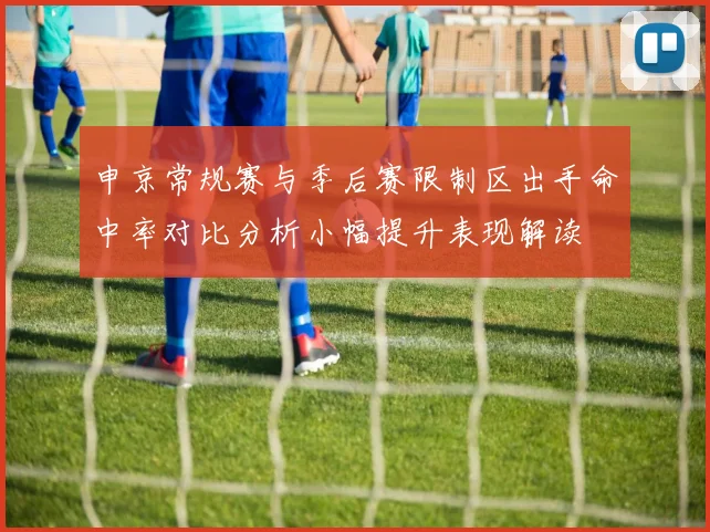 申京常规赛与季后赛限制区出手命中率对比分析小幅提升表现解读